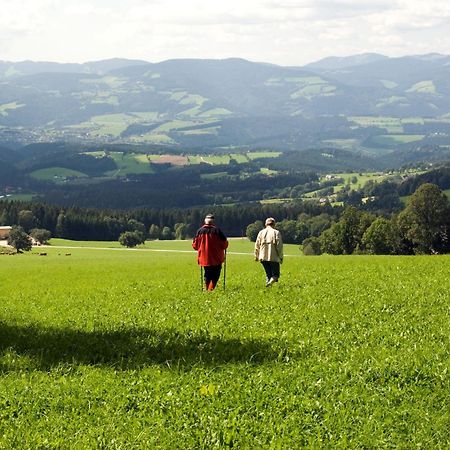 Wildwiesenhof Miesenbach  Ngoại thất bức ảnh