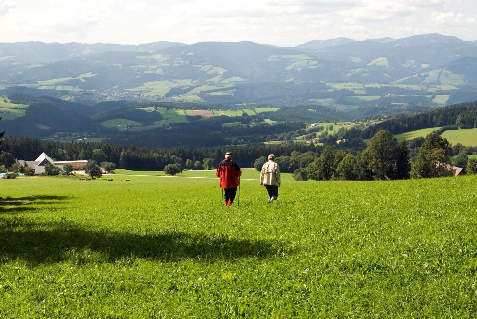 Wildwiesenhof Miesenbach  Ngoại thất bức ảnh