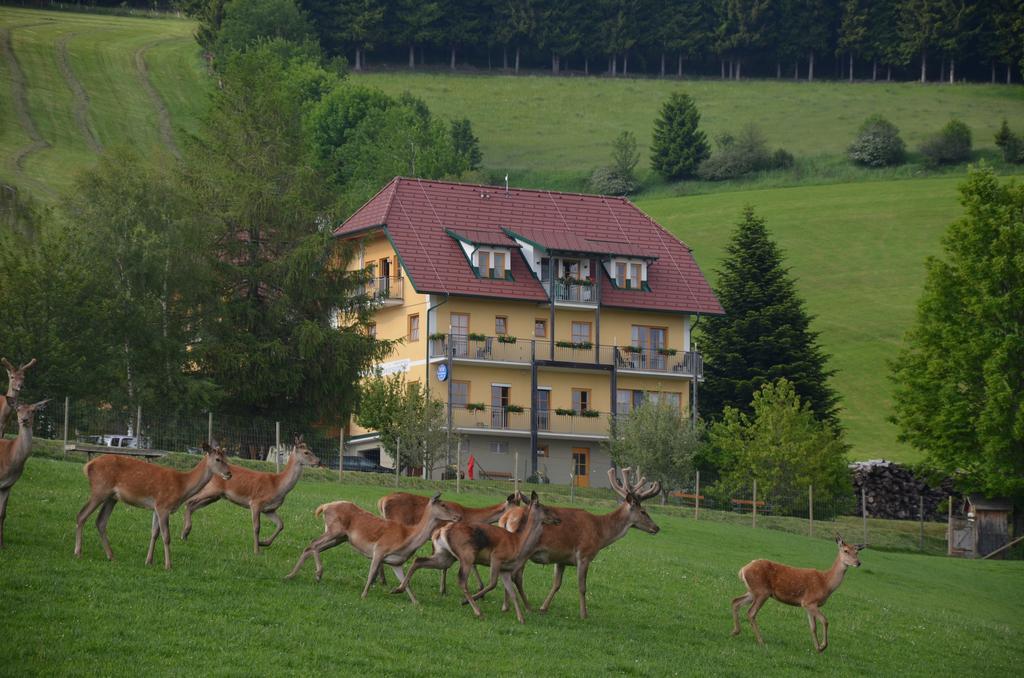 Wildwiesenhof Miesenbach  Ngoại thất bức ảnh