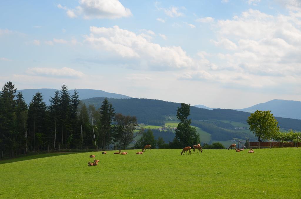 Wildwiesenhof Miesenbach  Ngoại thất bức ảnh